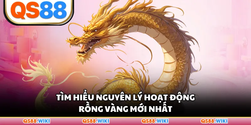 Tìm hiểu nguyên lý hoạt động Rồng Vàng mới nhất